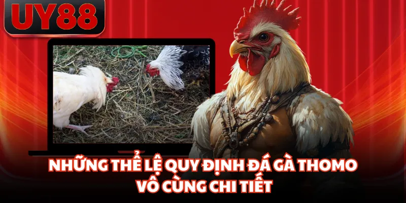 Những thể lệ quy định đá gà thomo vô cùng chi tiết